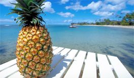 Ananas