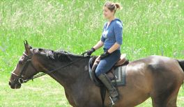 Reiten in der Schwangerschaft