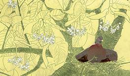 Ej, pada, pada rosicka