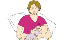 Richtig anlegen - Wiegehaltung