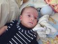 Linus 6 Wochen alt
