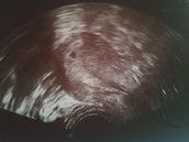 Baby Club Mamis Februar 2012