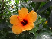 Baby Club Schwanger in Oberhausen