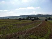 Baby Club Mütter aus dem saarland