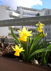 Baby Club Leben mit Baby