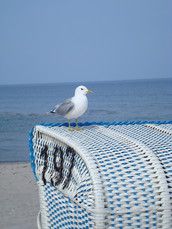 Baby Club All together...