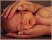 Baby Club Juni Mama´s 2011