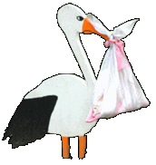 Baby Club Schwangerschaft trotz vorliegender Rhesusinkompartiblität