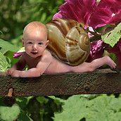 Baby Club Sauerland Mamas