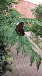 Baby Club werdende Mamis aus dem MKK Kreis