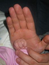 Baby Club Dezember - Babys 2009