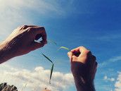 Baby Club Wunder_Recklinghausen