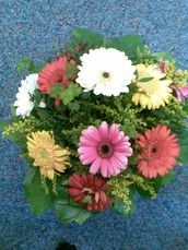 Baby Club Juni Mama's 2009