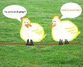 Baby Club KIWU ü-30, der Zweite