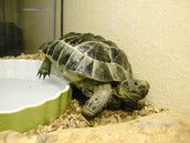 Baby Club Muttis aus Stormarn Hamburg