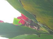 Baby Club Lebt wohl, all ihr Sternenkinder<3