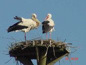 Baby Club Märzis2010