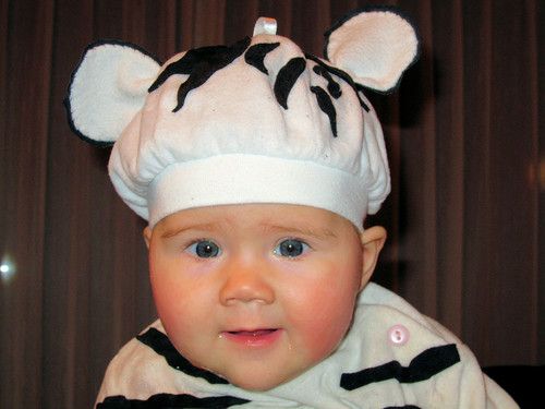 Unser kleiner weißer Tiger