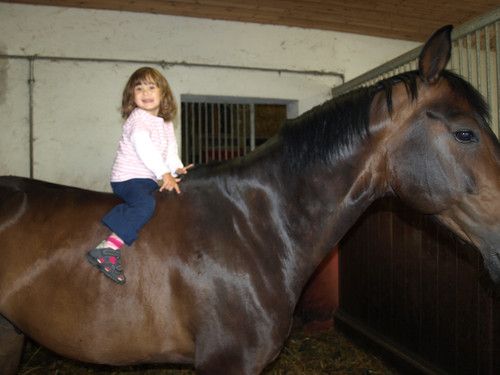 Das gut ist, man behält die Übersicht