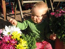 er liebt mich, er liebt mich nicht ...