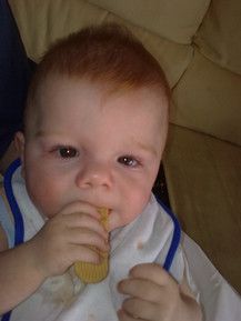 Luka isst seinen ersten Keks