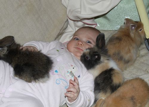 Zuviele Pelzkugeln!!