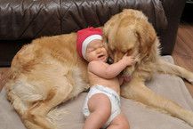 Mein Rentier will nicht so wie ich 