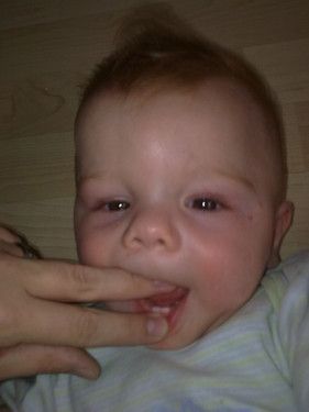 schaut meine ersten Beisserchen