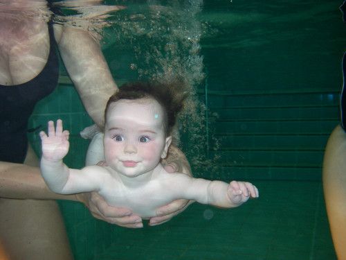 Kleine Tauchexkursion