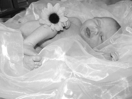 Mein erster Frühling