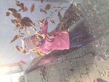 Herbstfeeling im Dezember :)