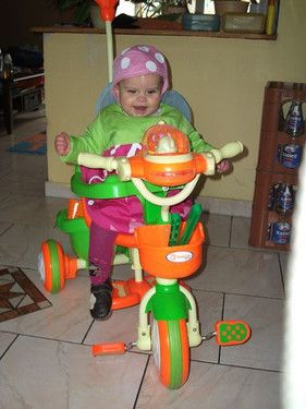 Blumenelfe mit Gefährt