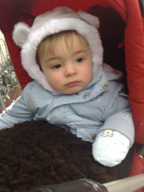 Unser Kleiner Grosser Baran beim täglichem Spaziergang.