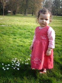 Gänseblümchen im Frühling