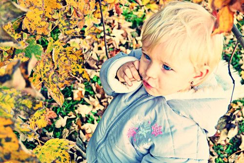 Die Blätter fallen...