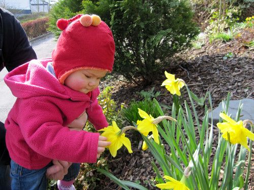 Die ersten Blumen...