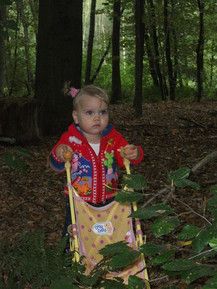 Mit dem Puppenbuggy durch den Wald