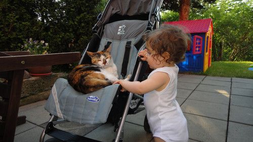 Alles muss ich teilen!