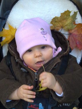 Blattverkostung oh je...