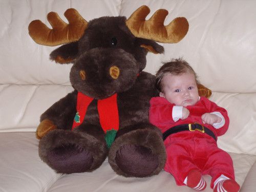 Der Weihnachtsmann mit seinem Rentier "Rudi"