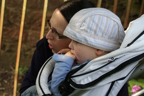 Mööh machen die Schafe