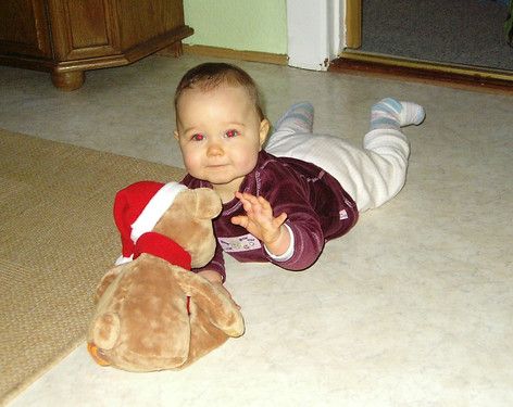 Mein Freund der Weihnachtsbär