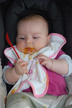 Mein erster Möhrenbrei