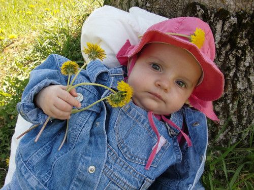 Mama zeigt mir Löwenzahn, aber ich find die gelben Dinger nicht sonderlich interessant...