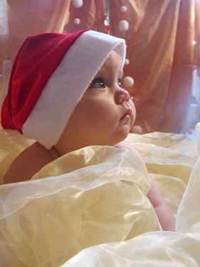 Bild für die Weihnachtskarten