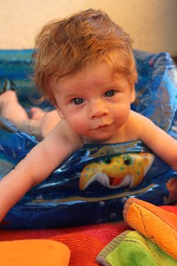 Eine kleine Wasser-Ratte beim Planschen auf dem Balkon