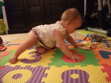 Erster Krabbelversuch