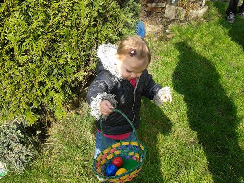 Schon ein paar Eier gefunden :-)