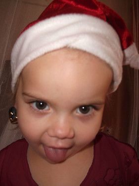 Weihnachtsfrechdachs