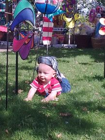 Welchen Drachen nehm ich nur?